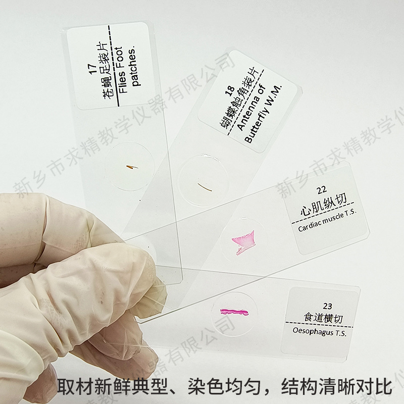 Origin Supply Quality Model 25 pieces biological slice specimen suit glass microscope specimen slice suit