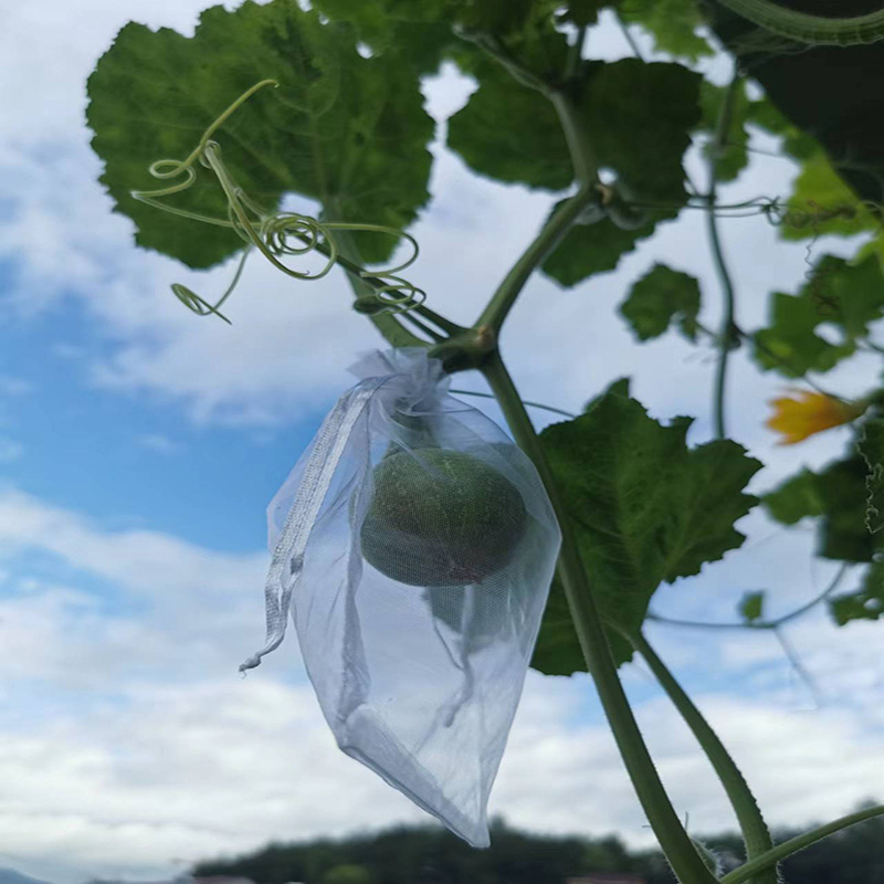 Fruit Bagging, Anti-Bird, Insect-Proof, Breathable Special Mesh Bag, Grape, Fig, Loquat, Strawberry, Carambola Protection Bag