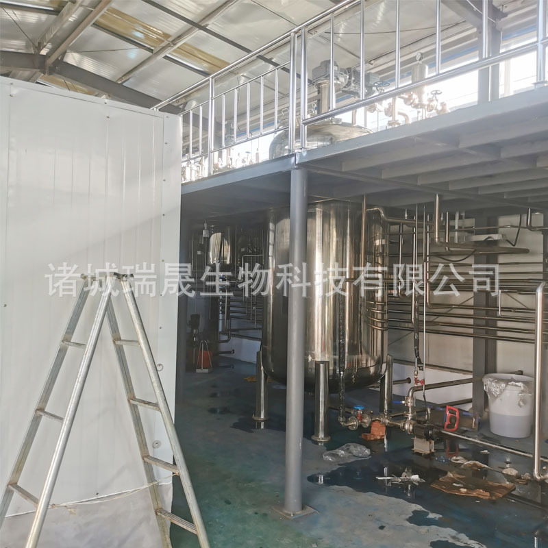 Bacillus Subtilis Fermentation Tank 100-1000L Microbial Fermentation Tank Ruisheng High Temperature Sterilization Fermentation Machine