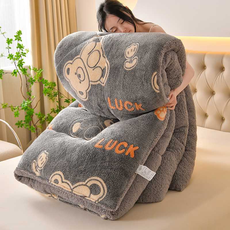 Nantong Home Textile Bedding 2025 New Ab Version Snowflake Velvet Lamb Velvet Winter Quilt Core Group Buying Wholesale