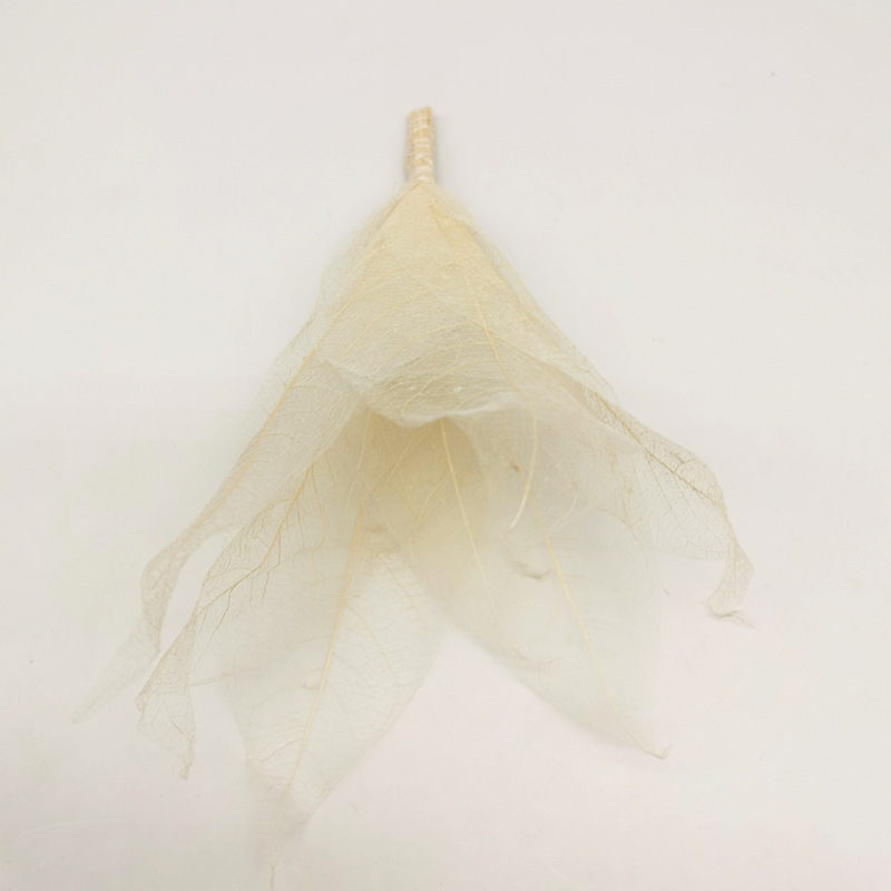 Direct Sale from the Manufacturer: Aromatherapy Leaf Vein Flower Diffuser Sticks, Dried Flower Fragrance Essential Oil Diffuser, Long-Lasting Scent, Deodorizer for Indoor Use