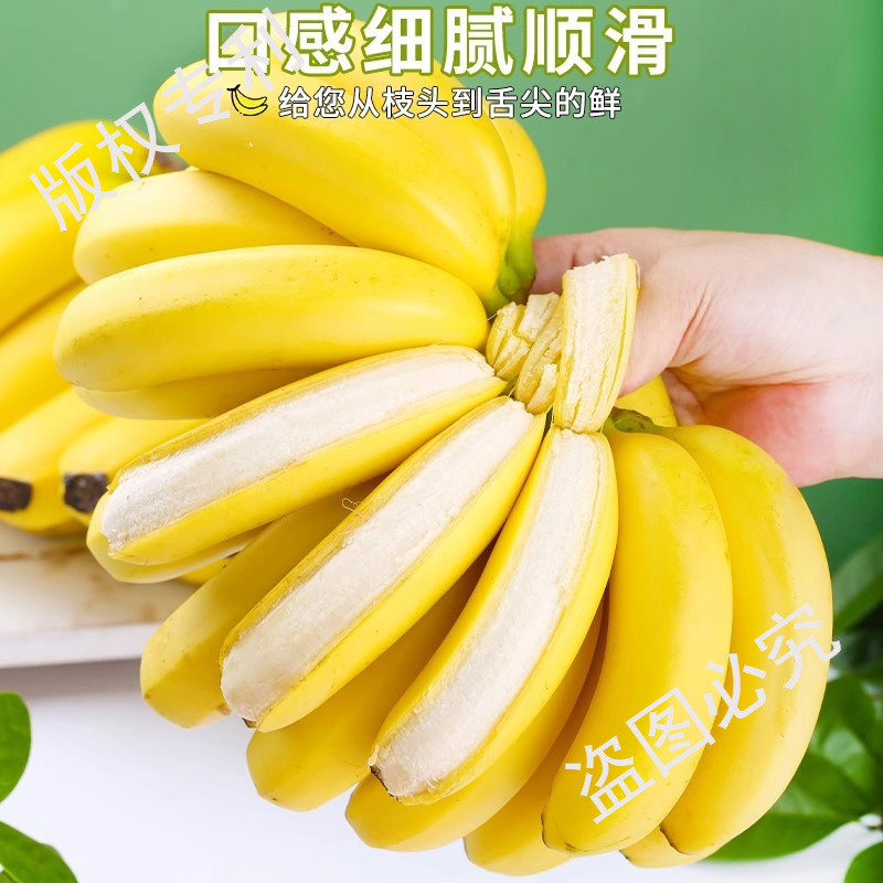 Yunnan Alpine Sweet Bananas 4.5kg Fresh Fruit Seasonal Freshly Picked Plantain Sweet Bananas Whole Box Naturally Ripe