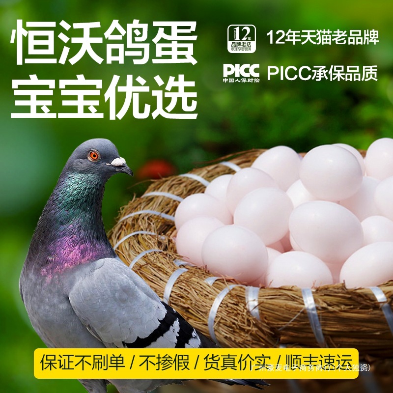 Zhejiang Fresh Pigeon Eggs Hengwo Genuine Multigrain Pigeon Eggs Farm-Raised White Pigeon Eggs 30 Pieces Individually Packed Non-Quail Eggs