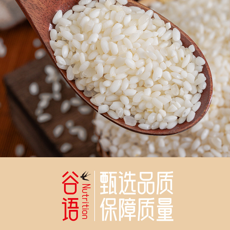 Customized Glutinous Rice 250g Vacuum Packaging New Rice Round Glutinous Rice Grains Glutinous Rice Oem Oem Processing