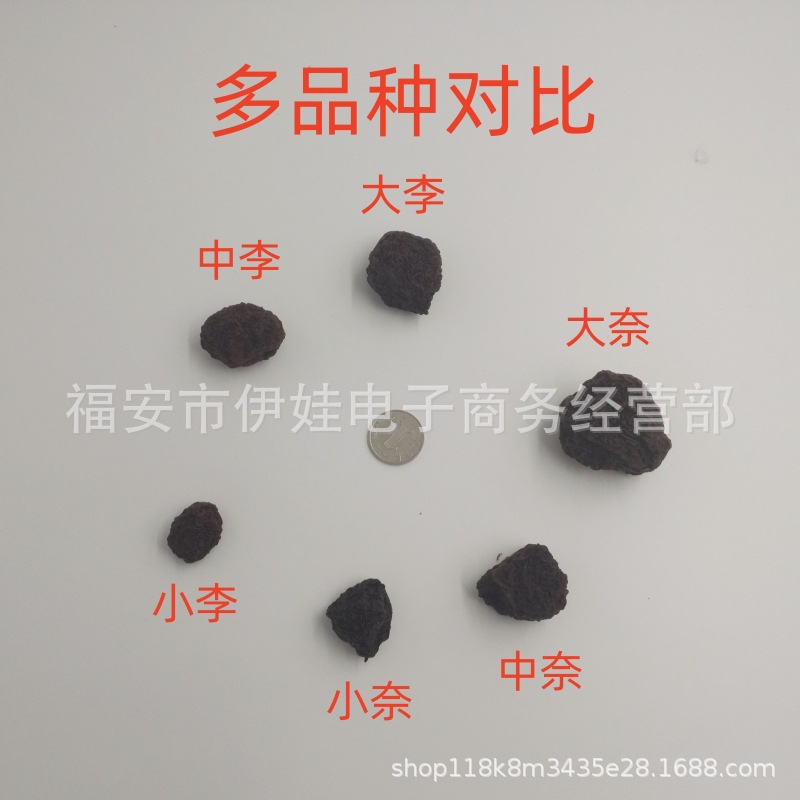 [New Li listed] factory wholesale tantounaigan 40 Jin/box wholesale Li Zigan farmer Yongtai Li Gan