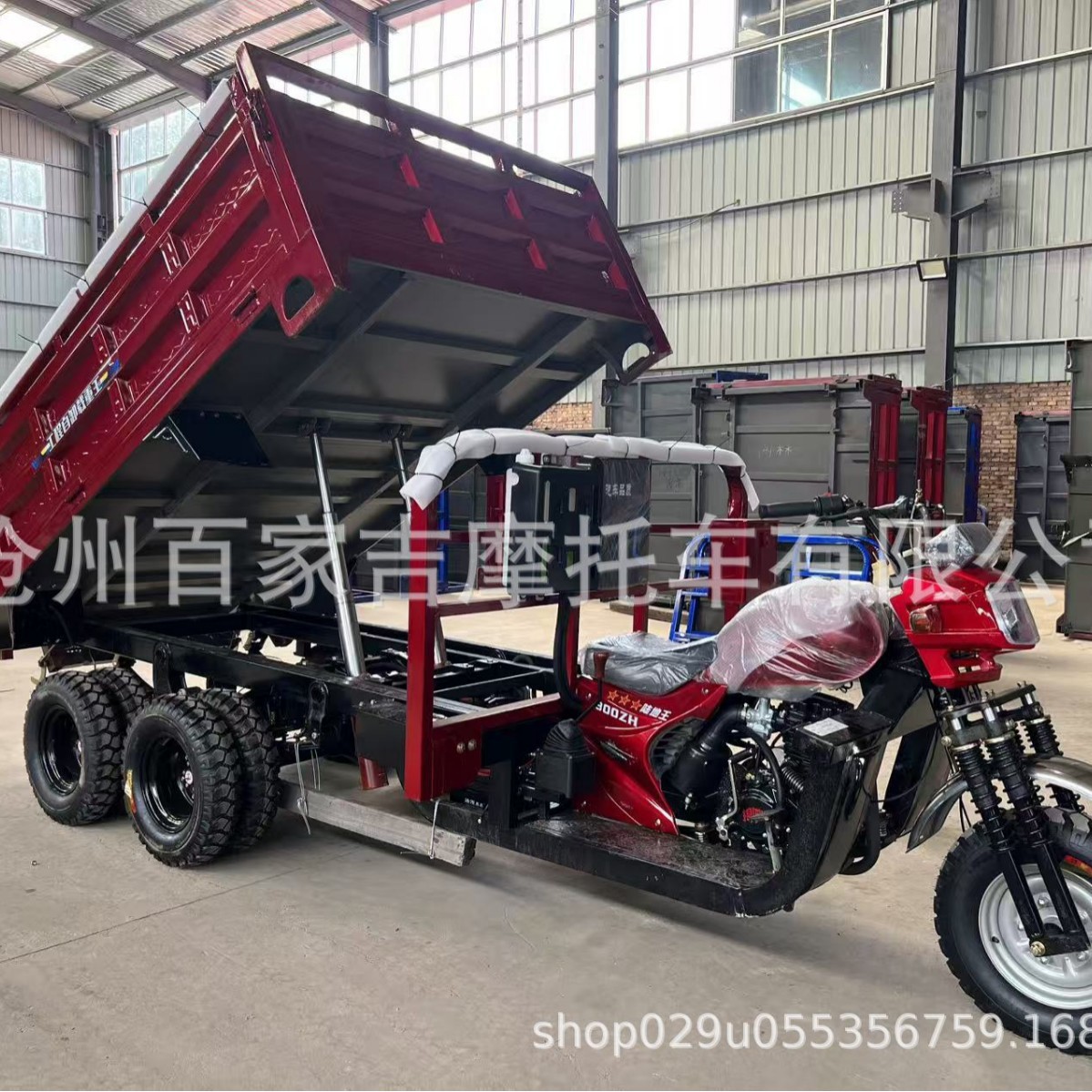 Cross-Border Popular Fuel Nine-Wheel Motorcycle Tricycle Agricultural Household Tricycle Gasoline Truck Load King Factory