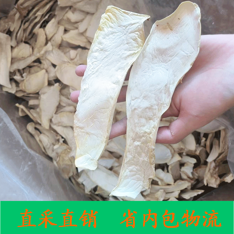 Base supply dried Pleurotus eryngii large/medium Pleurotus eryngii dry goods snow mushroom origin wholesale