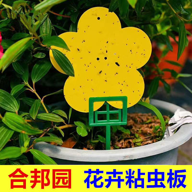 Cross-border foreign trade double-sided shaped sticky insect board in stock new insect trap pattern trap board yellow sticky board