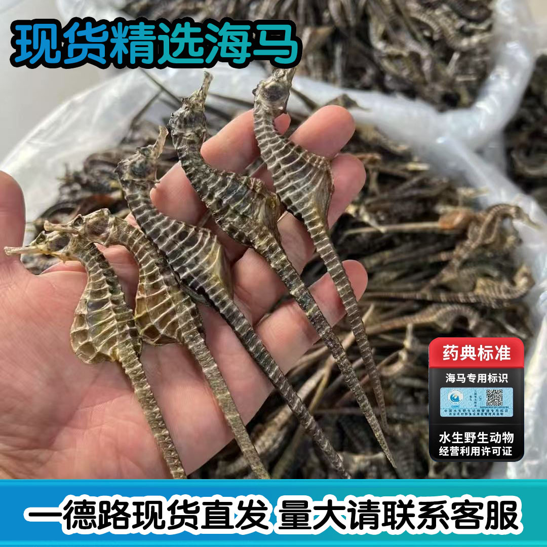 В наличии, морской конек, оптовая продажа, китайская травяная медицина