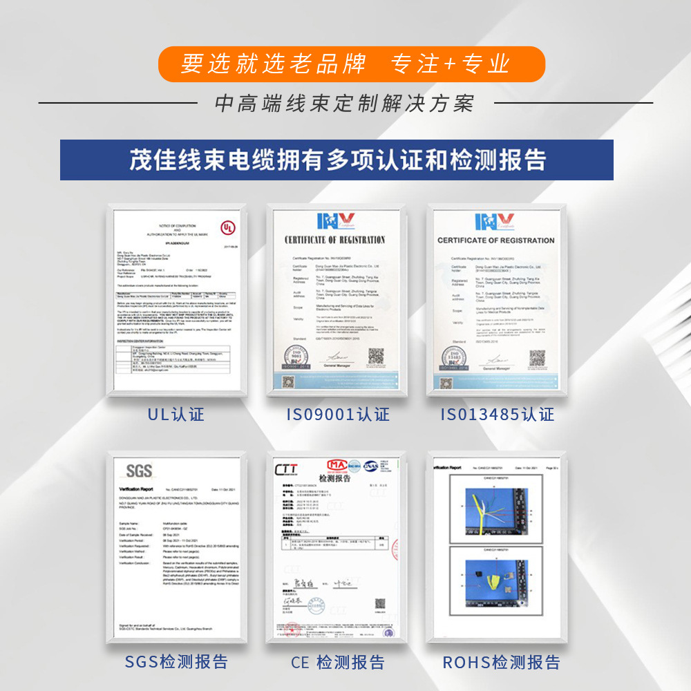 M12 to Rj45 Category 6 Super Flexible Ethernet Cable Type a 8-Core Industrial Camera Vision Waterproof Cable Hot Sale Customization