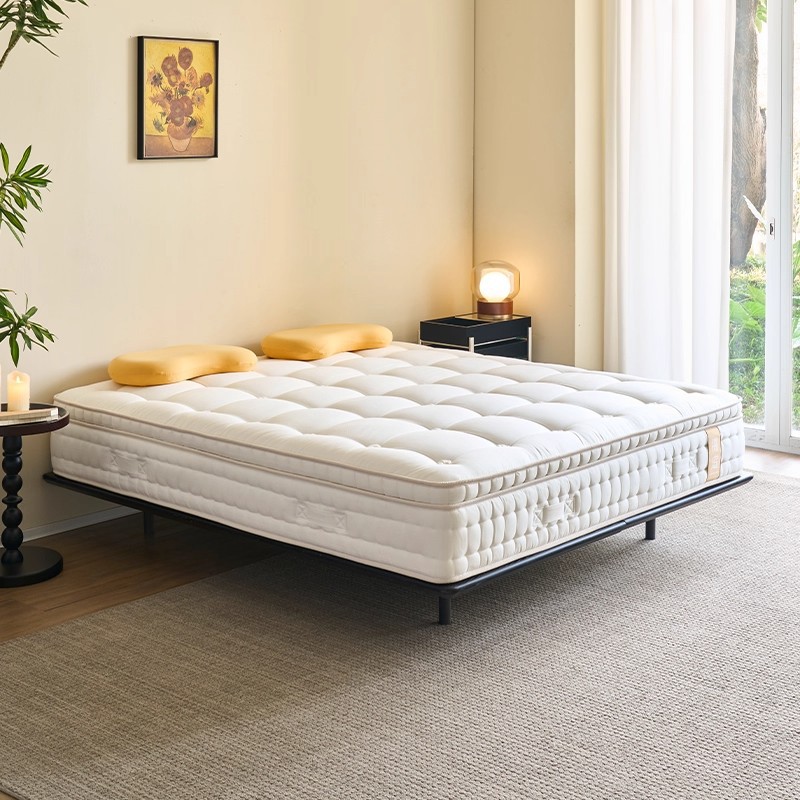 Handmade Intelligent Electric Mattress with Ponytail Hair to Coax You to Sleep, Fully Automatic Adjustable Bed, Dream Simmons Mattress