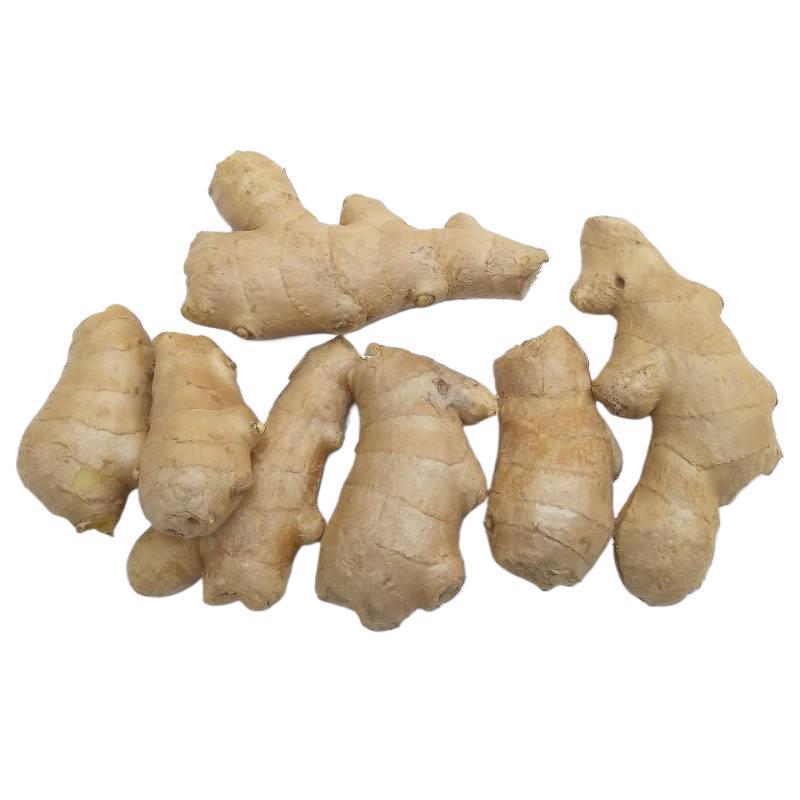 生姜老姜新鲜生鲜包邮山东大姜黄姜风干姜月子姜生姜块老姜母批发