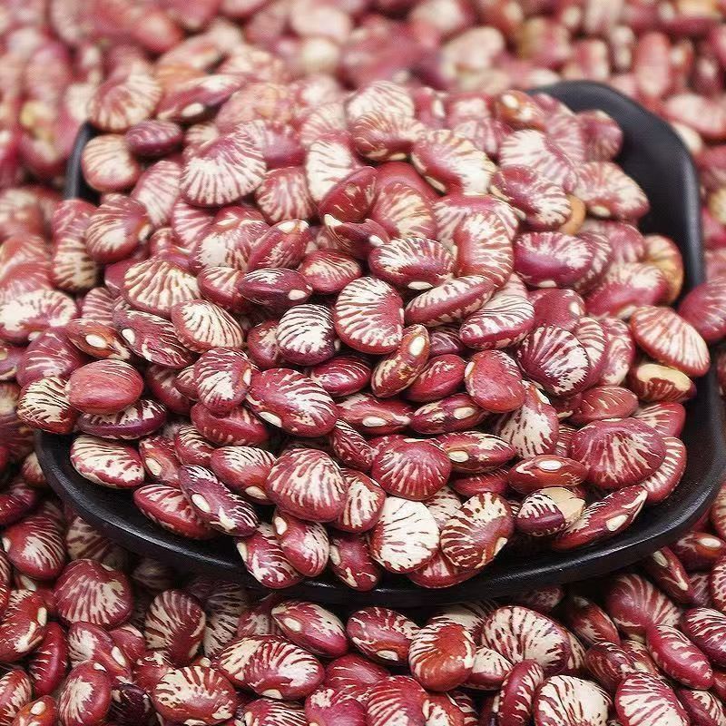 New zebra bean banma bean Yunnan farm self-planted big holy bean rice bean lotus bean dried porridge soup wholesale
