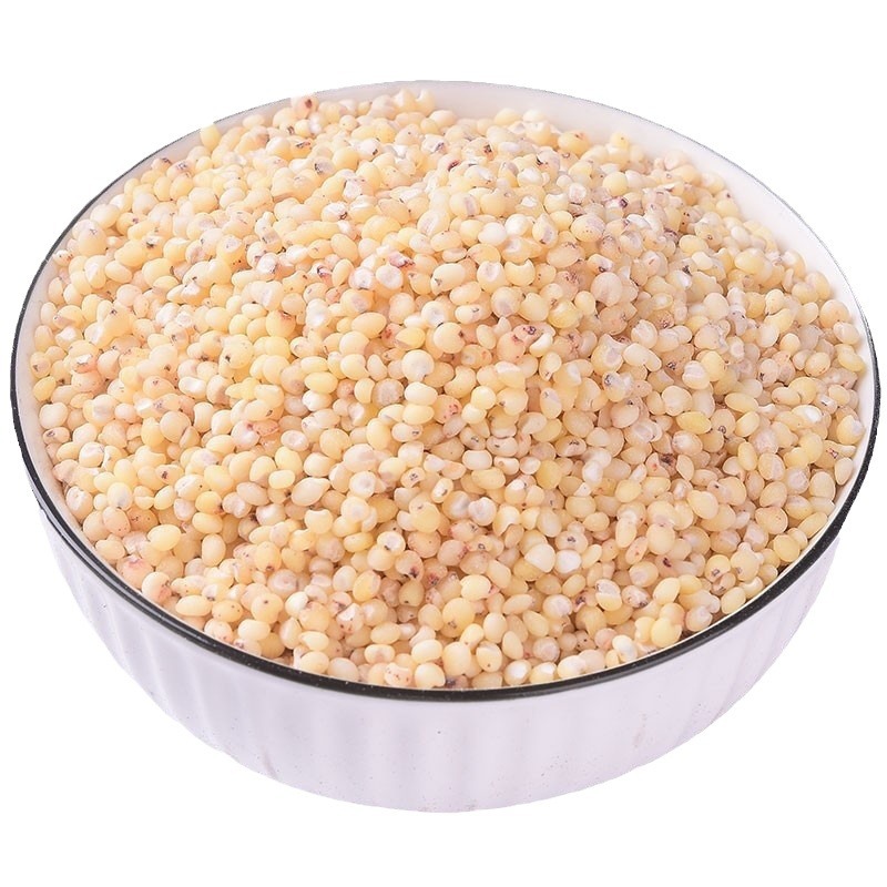 Northeast sorghum rice new rice 500g a bag of white sorghum rice healthy coarse grains cereals factory straight hair wholesale