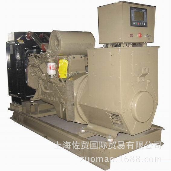 Export Conveyor/Pakistan/Import and Export Agent/Express Delivery/Forwarder Dap Service/Container Truck Trailer Train