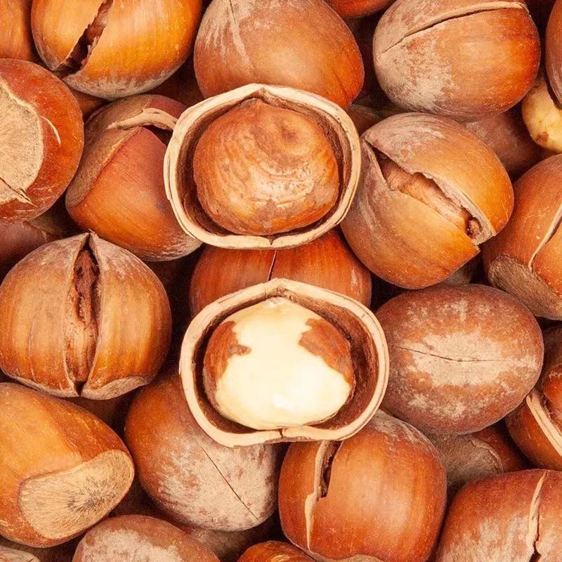 25 New Hazelnuts from Northeast China, Large Hazelnuts with Large Kernels, Beautiful Original Flavor Nuts, Freshly Roasted Goods, Ready Stock for the New Year, Wholesale