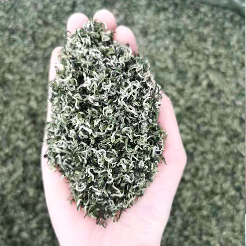 2025 новый чай из Сычуани Яань горный зеленый чай Билуочунь