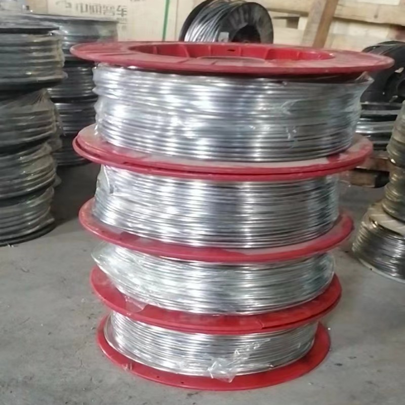 Customized Lead Wire Diameter 0.3Mm-18Mm, Electrical Fuse Lead Wire with Complete Specifications, Electrolytic Soft Lead Wire Protection