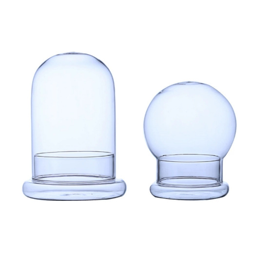 Micro-Landscape Glass Cover Split Bottle Immortal Flower Glass Dust Cover Ecological Bottle Moss Succulent Plant Landscaping Bottle