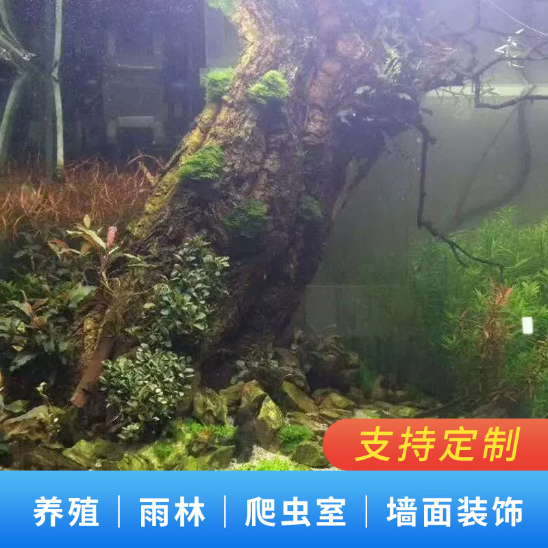 Real Bark Cork Bark Champagne Bark Climbing Pet Fish Tank Landscape Green Plant Wall Decoration Aquarium Decoration Wall Bark