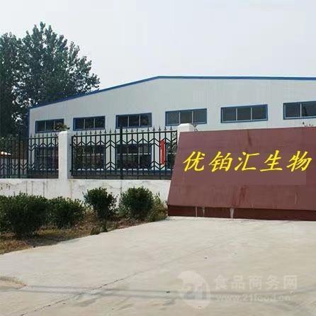 Apple Powder, Apple Freeze-Dried Powder, Youbohui Biological Factory, Beautiful Price, Sufficient Supply