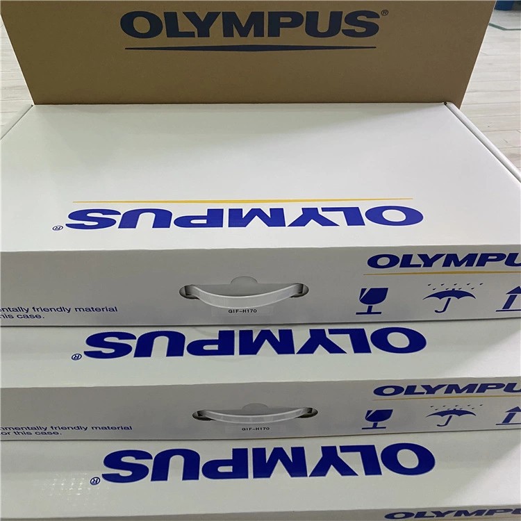 Repair Olympus Electronic Gastrointestinal Endoscope Equipment Ccd Lens Blur Gif-Hq290 Gastroscopy Maintenance Warranty