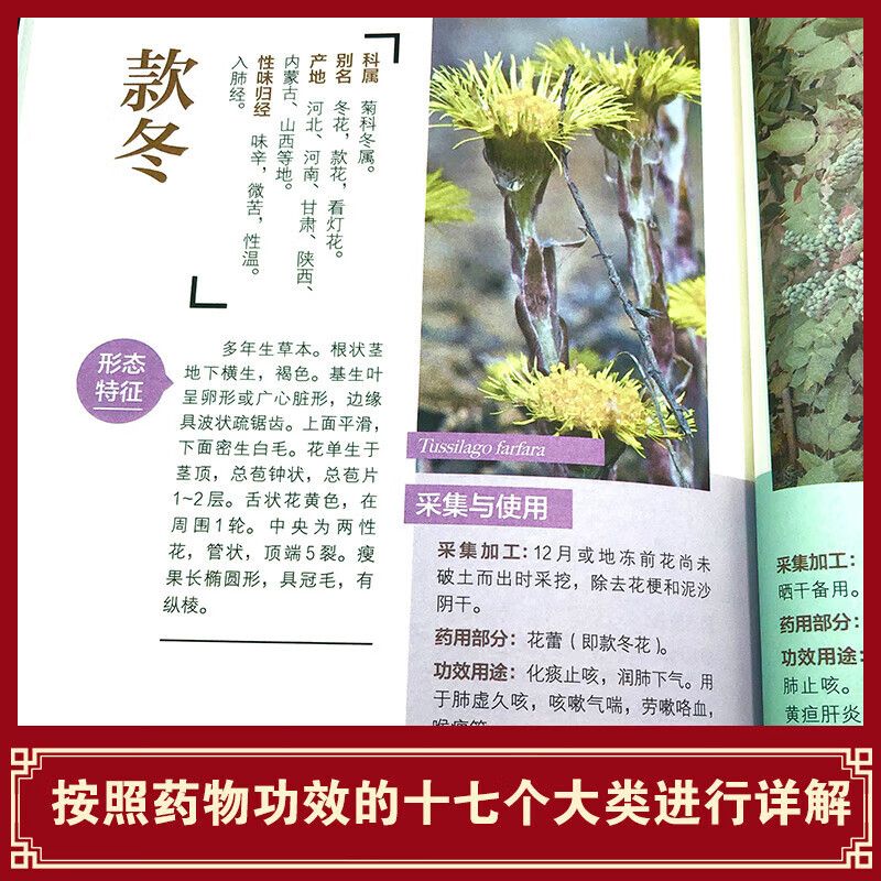 Identification and Application of Chinese Herbal Medicine in the Field