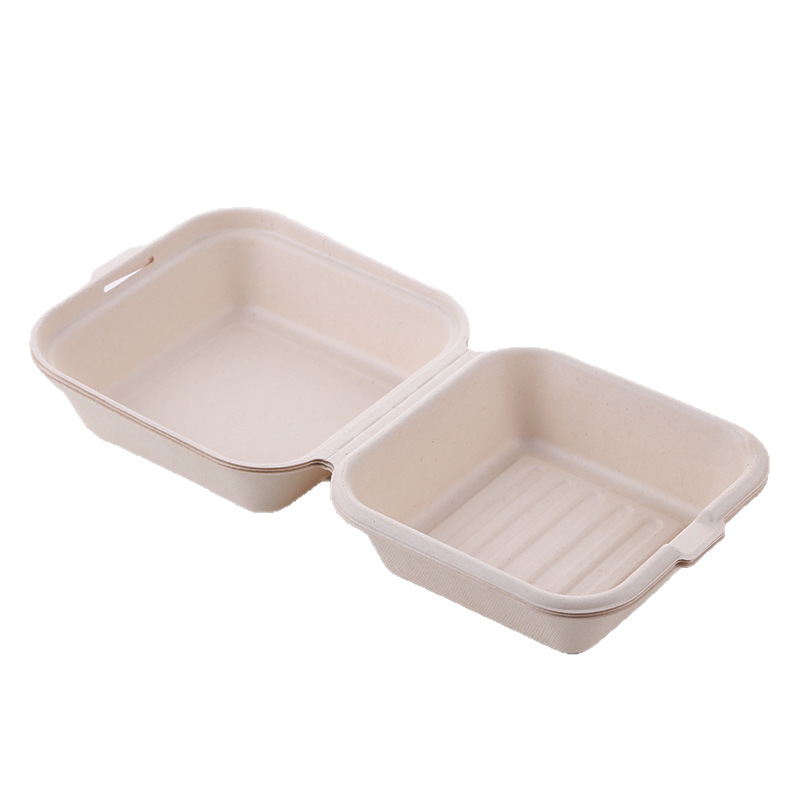 Disposable Lunch Box Internet Celebrity Cake Box Hand-Painted Sugar Cane Pulp Biodegradable Hamburger Box Takeaway Packaging Box