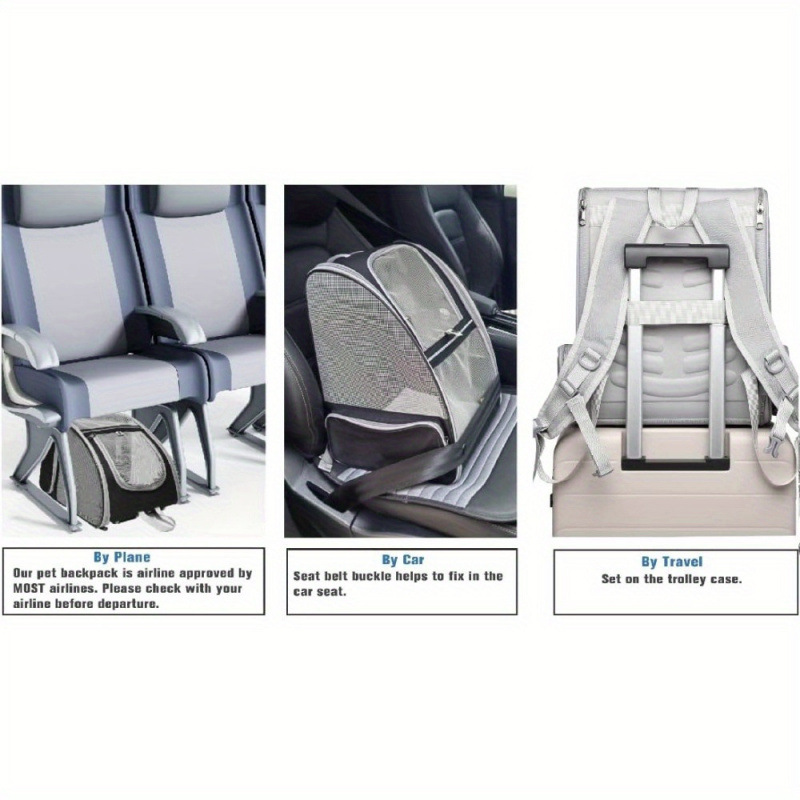 2026 Autumn and Winter Cross-Border Export New Travel Bubble Backpack Pet Carrier