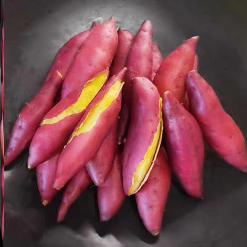 Tianmu Small Sweet Potato, Freshly Dug, Fresh Vegetables, Chestnut, Sweet Potato, Sweet Potato Powder, Glutinous Small Sweet Potato, One Piece Dropshipping