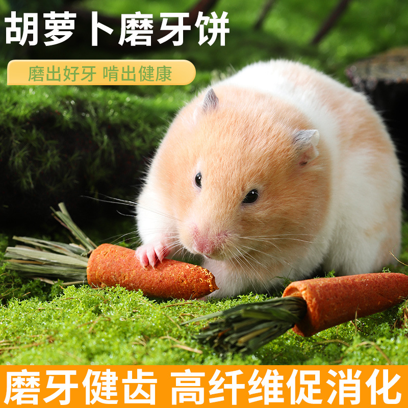 Hamster Carrot Molar Stick Snacks Golden Bear Rabbit Grass Cake Edible Molar Stone Toys Landscaping Supplies