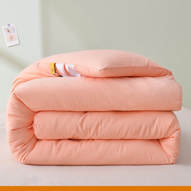 Class a Maternal and Infant-Grade Thickened Soybean Cotton Quilt for Spring and Autumn, Student Double Dormitory Gift Wholesale Winter Quilt Duvet Cover