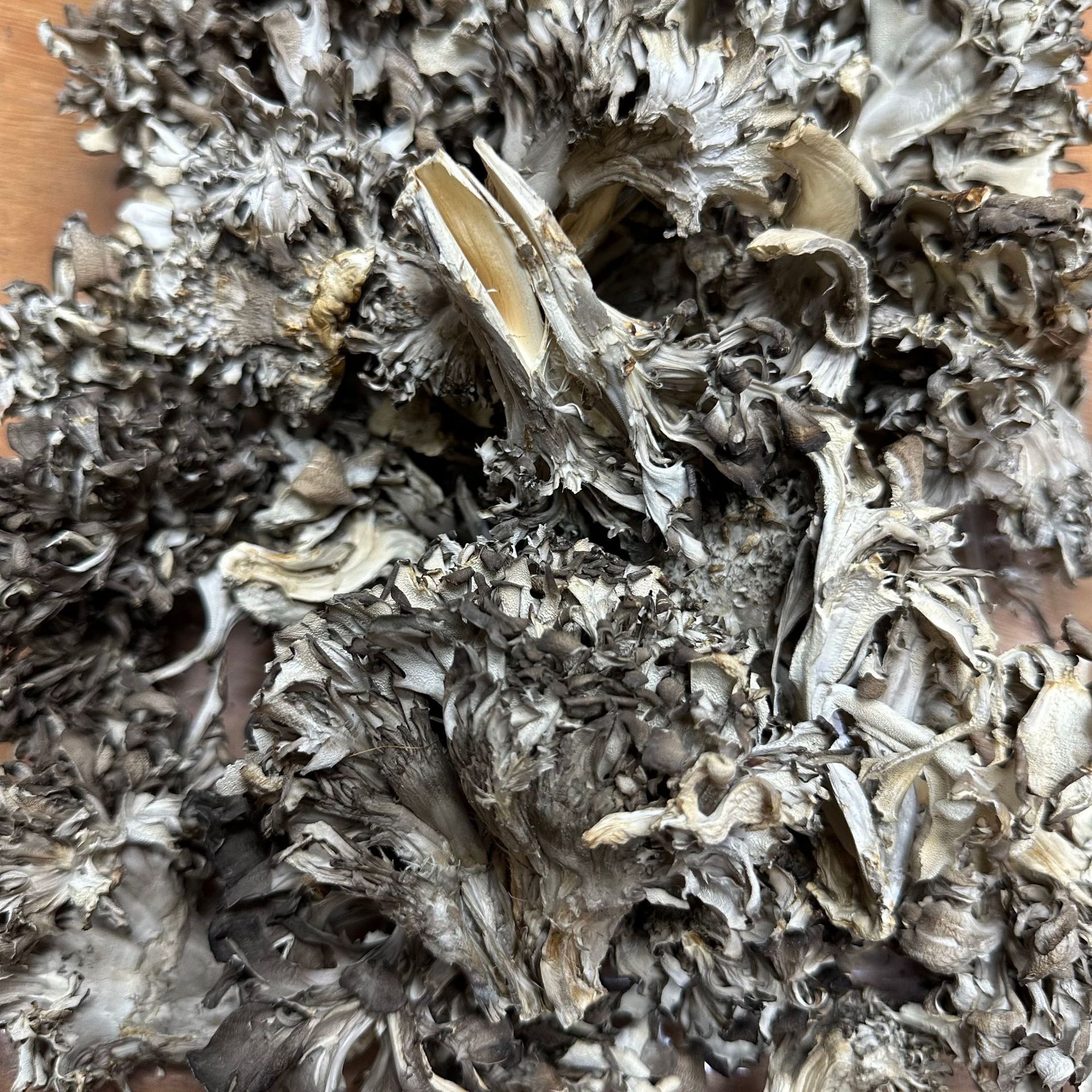 [Selected Grifola Frondosa from Yunnan] Yunnan's First New Product, Sulfur-Free Dry Goods Shipped Directly from the Place of Origin