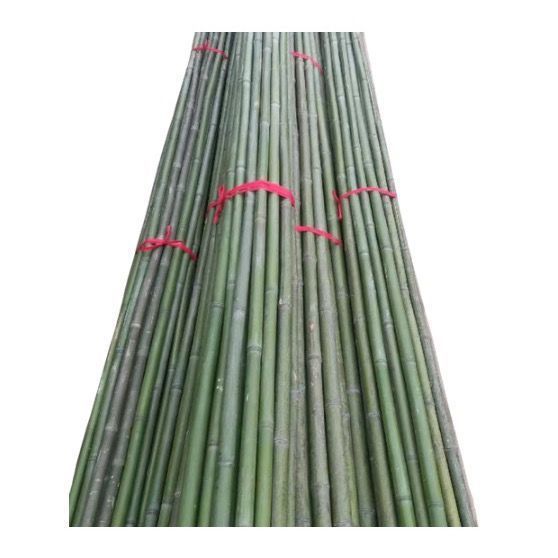Bamboo Pole Vegetable Garden Trellis Bean Trellis Cucumber Trellis Climbing Trellis Flagpole Bamboo Pole Bamboo Climbing Support Small Bamboo Pole Wholesale