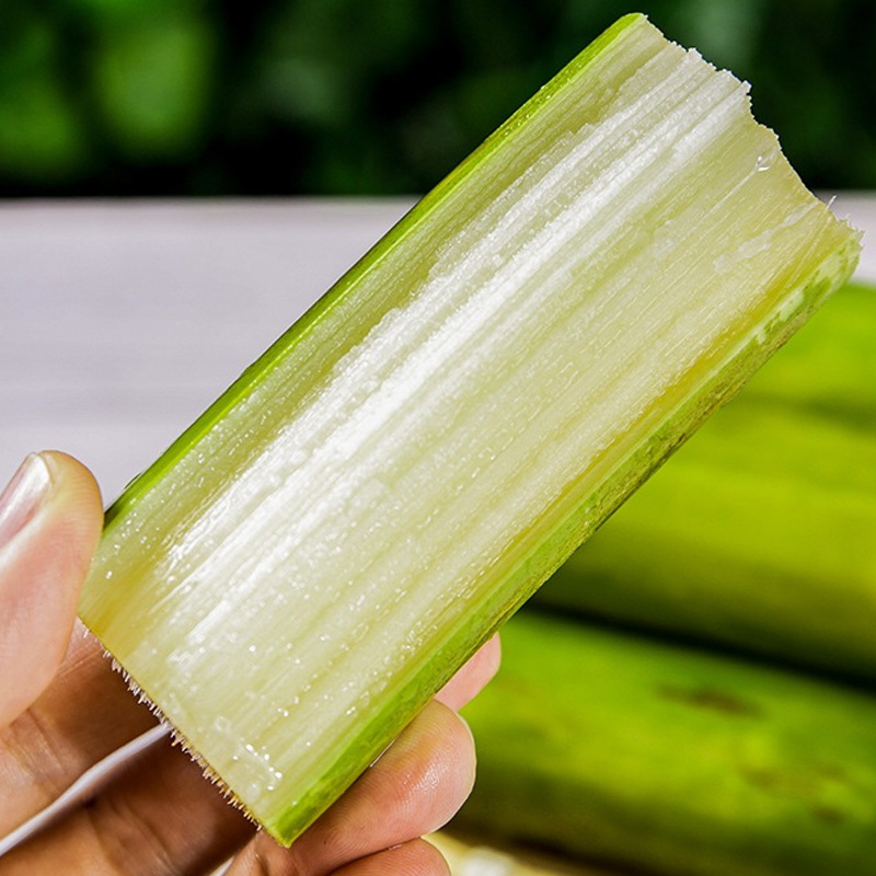 Sf Express Tao Shan Green-Skinned Fresh Cane Sugar Seasonal Fruit Cane 2.5kg Crisp Sweet Cane Sugar