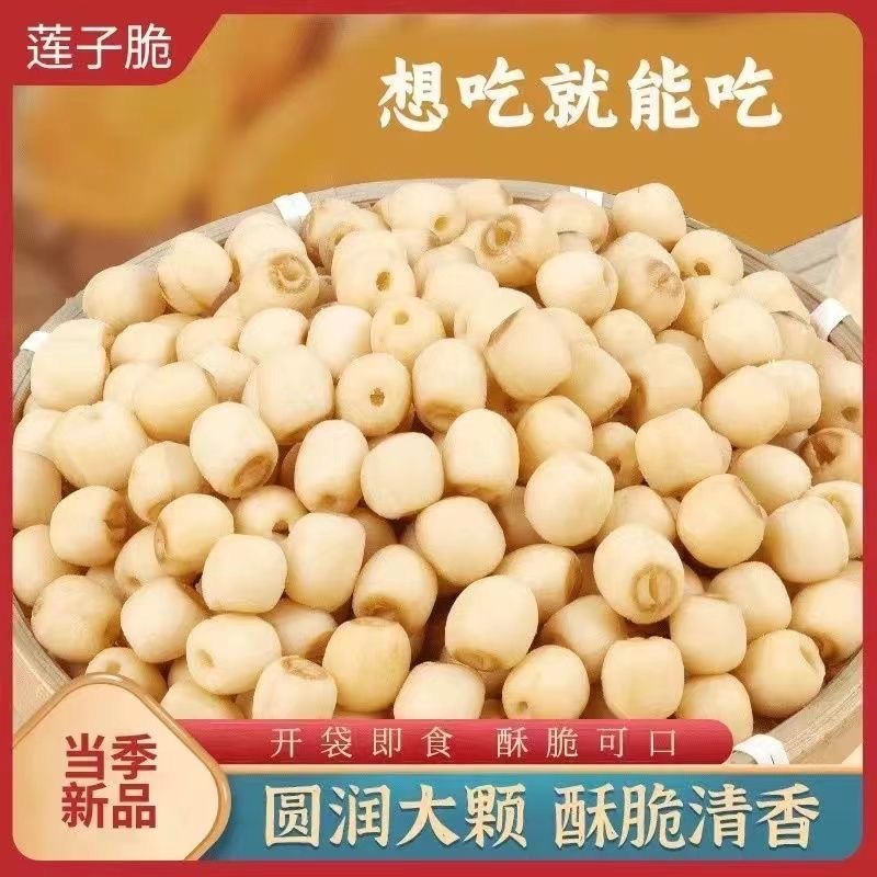 Lotus Seed Crisp Bag 40g Shake Fast Same Style Dried Lotus Rice Coreless Dehydrated Fruit and Vegetable Manufacturer Ready for Delivery