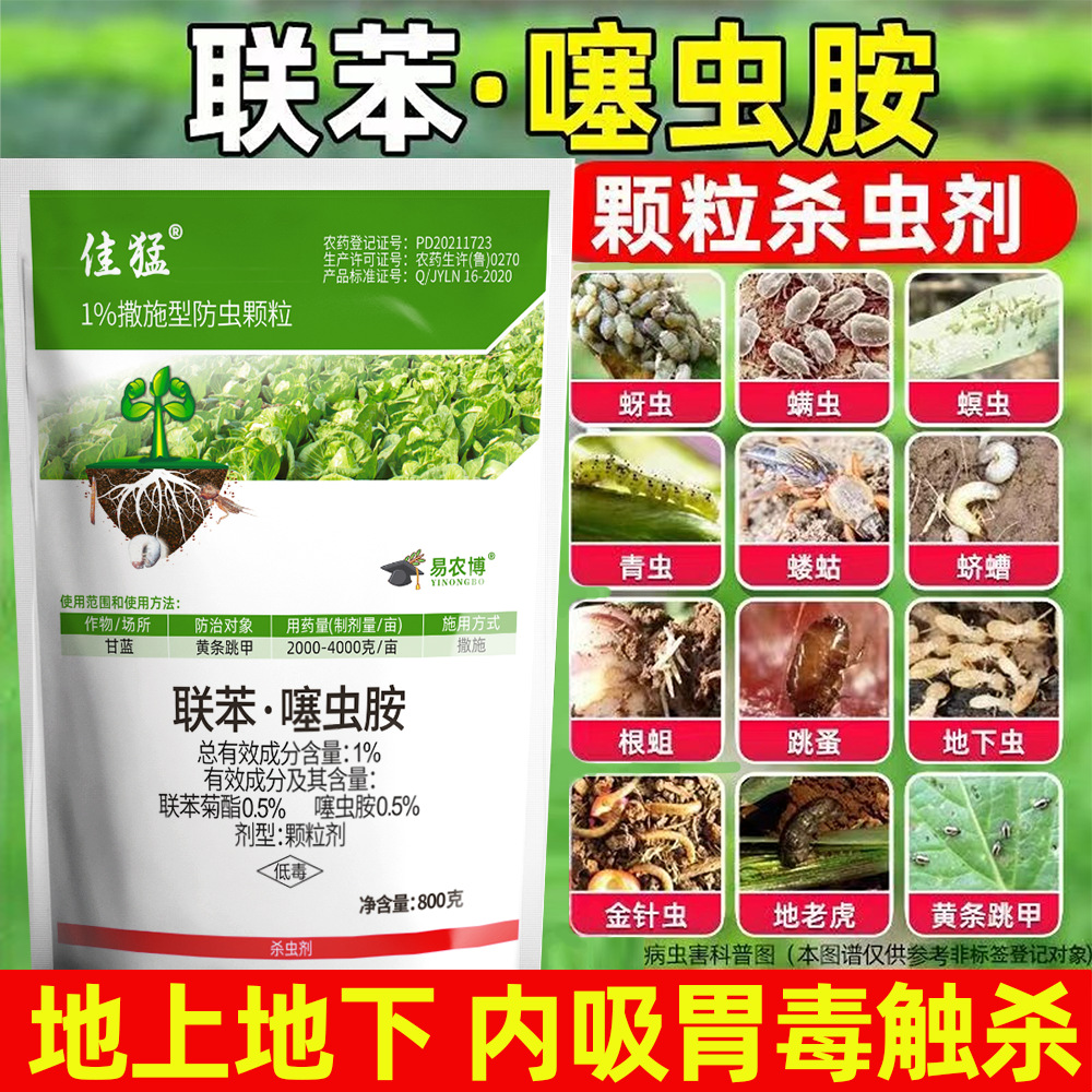 Dibenfenthianidin Is a Special Insecticide Granule for Preventing and Controlling Underground Pests, Killing Yellow-Striped Flea Beetles, Groundhogs and Mole Crickets