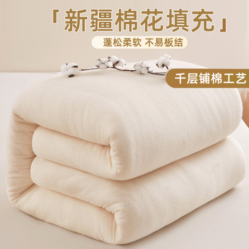 Xinjiang Cotton Quilt Fish Scale Net Cotton Quilt Core Pure Cotton Quilt Thickeneded Warm Winter Quilt Cotton Quilt Bedding Pad Wholesale