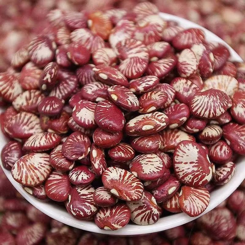 Новые зебровые бобы, бобы банма, фермерские бобы Юннани, самостоятельно выращенные большие священные бобы, бобы риса, лотосовые бобы, сушеная каша, суп, оптовая продажа