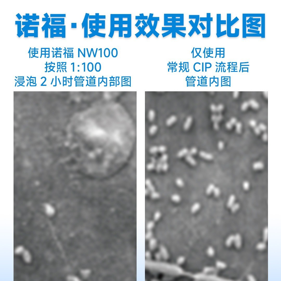 Kill Dairy Plant Pipes Bacillus Cereus, Remove Biofilm, No Corrosion, No Resistance, Food Grade Disinfection