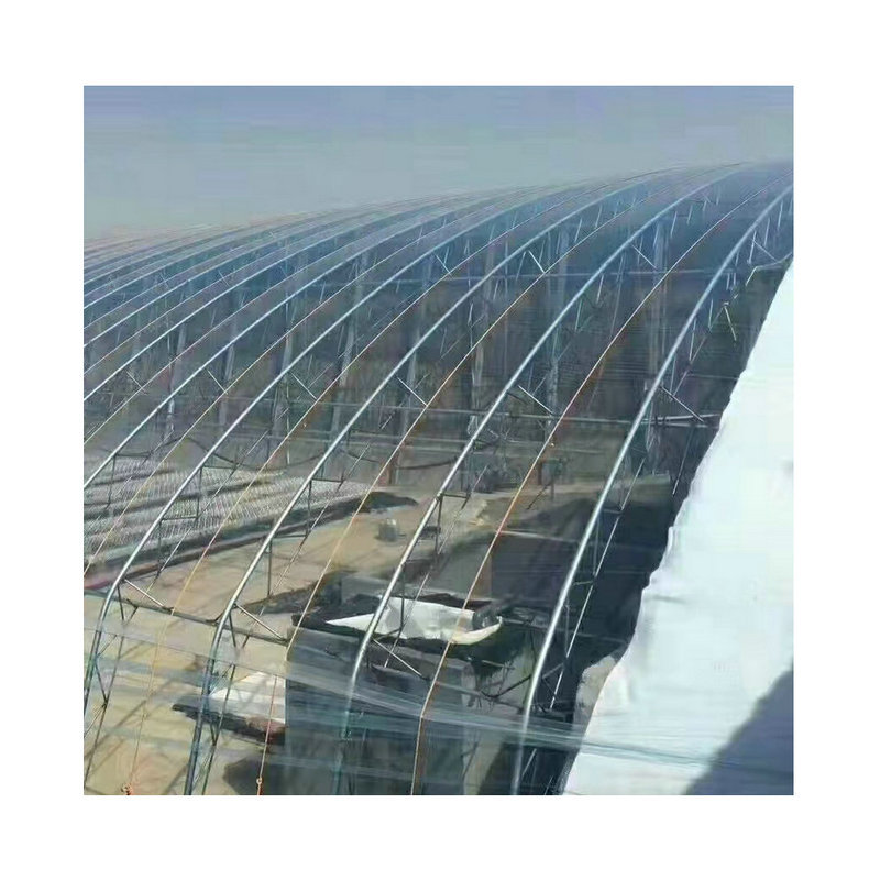 Factory wholesale greenhouse film drip-free film anti-fog film greenhouse thickened insulation planting breeding crystal po film