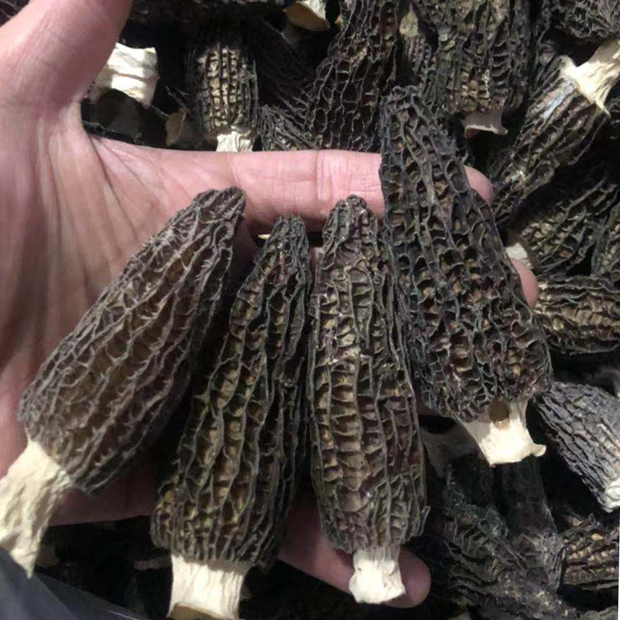 Morchella dry goods factory wholesale whole box of more than 5 cut handle large edible fungus soup cheap generation
