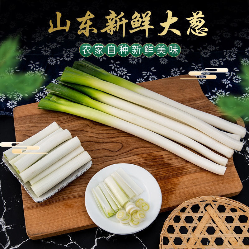 Jin Free Shipping Shandong Green Onion Hardcore Fresh and Tender Self-Onion Wholesale