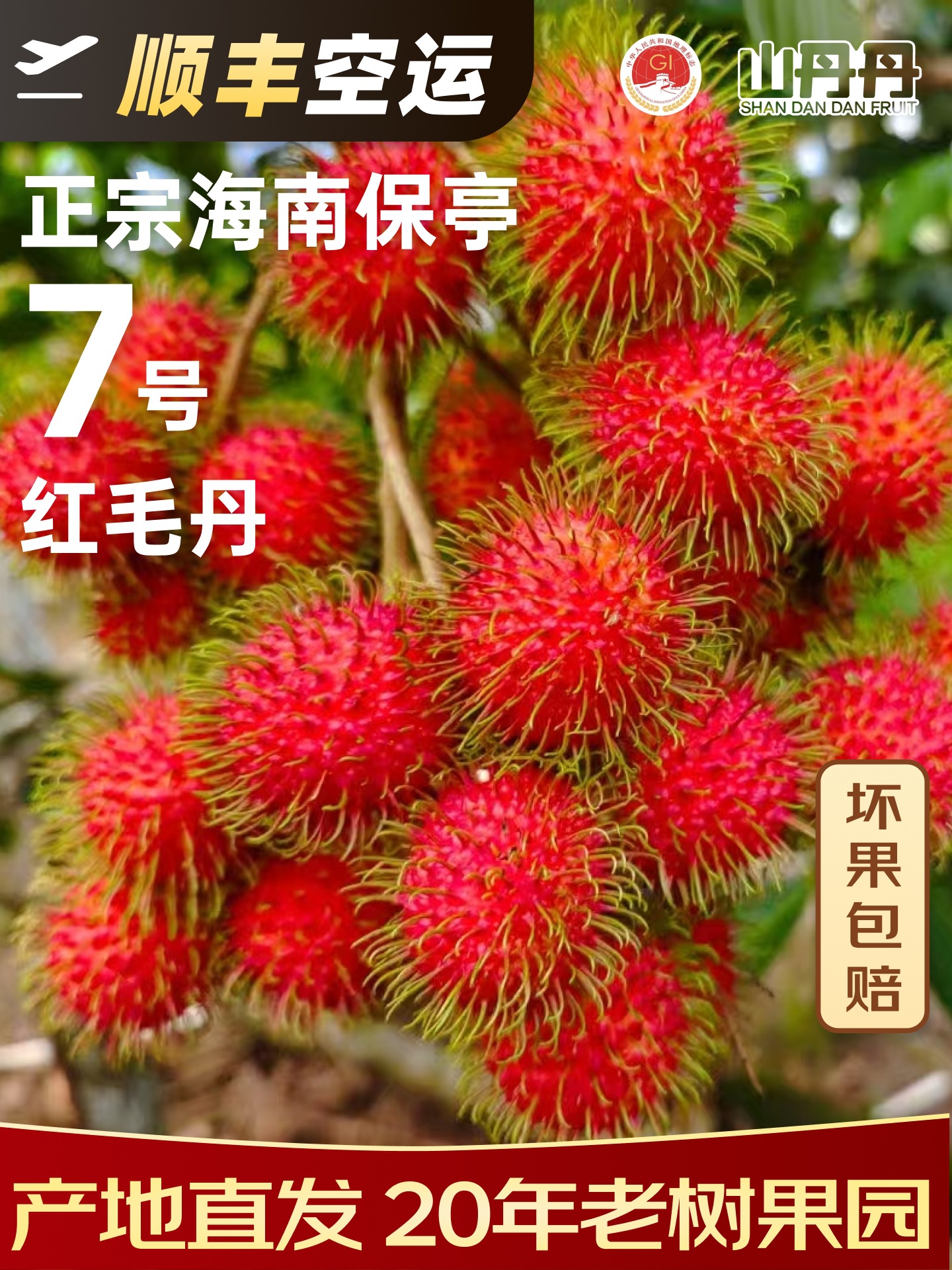 Sf Express Free Shipping Hainan Baoting No. 7 Rambutan Lychee Pregnant Women Fruit Fresh Orchard Direct Supply Gift Box