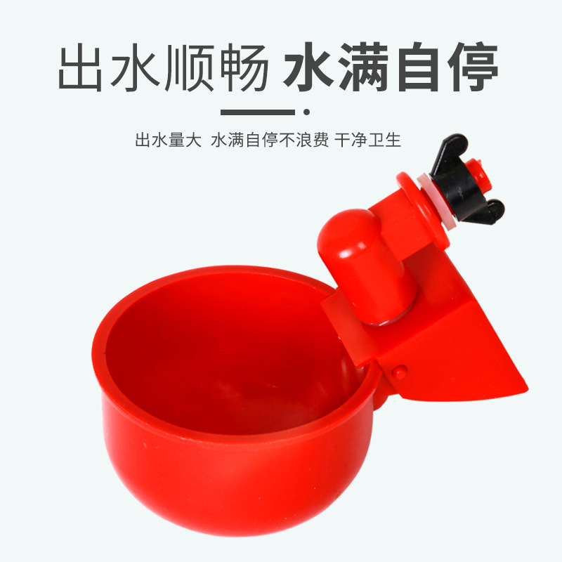 New Chicken feeding automatic drinker chicken duck goose automatic drinker breeding quail pigeon poultry automatic drinker