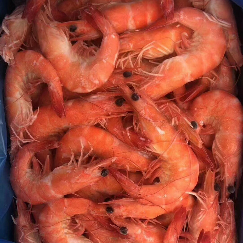 Large Supply of Frozen Seafood, Thai Prawns 50-60, Aquatic Products, Seafood, Cooked Food Products Wholesale Imported from Thailand