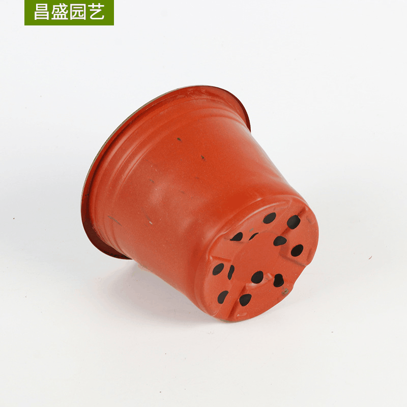 Two-color Pot Two-color Fleshy Flower Pot Green Plant Gardening Supplies Soft Suction Plastic pp Simple Seedling Pot Plastic Two-color