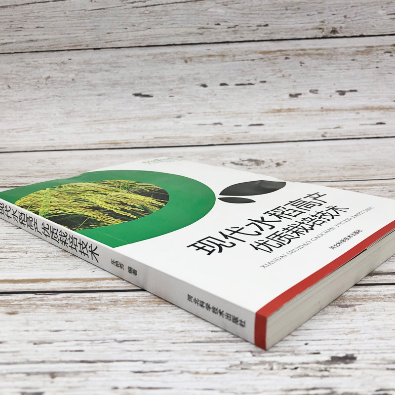 Modern Rice Cultivation Techniques with High Yield and Good Quality