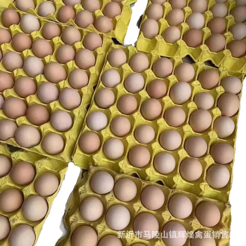 Wholesale Fresh Farm-Raised Free-Range Eggs, Grass Eggs, Stupid Eggs, Powdered Shell Eggs, Fresh Eggs, Wood-Fired Eggs, Cereal Eggs