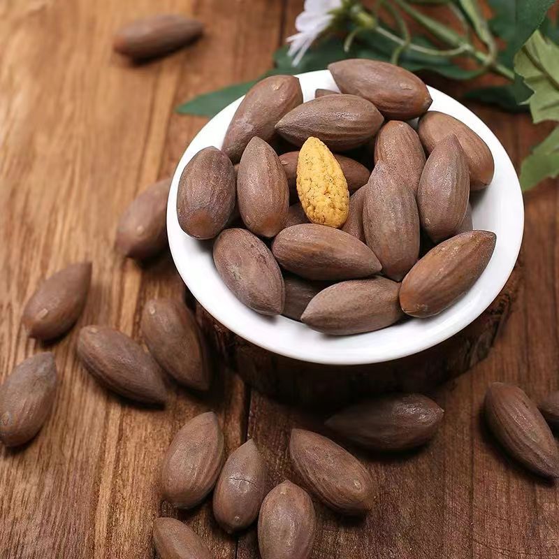 New Arrival Torreya Nuts Zhuji Specialty Nuts Wholesale Torreya Fruit Casual Snacks Factory Direct Sales Specialty Dried Fruits